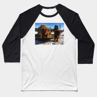 Scottish Highland Cattle Calves 1933 Baseball T-Shirt